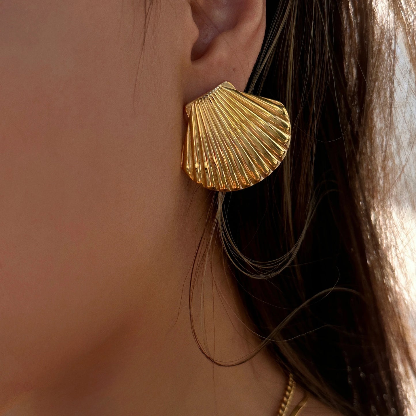 Oysters earrings