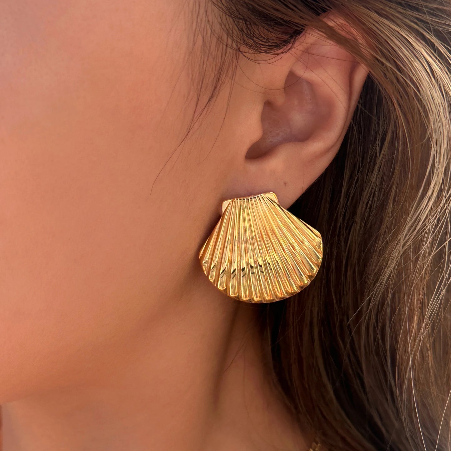 Oysters earrings