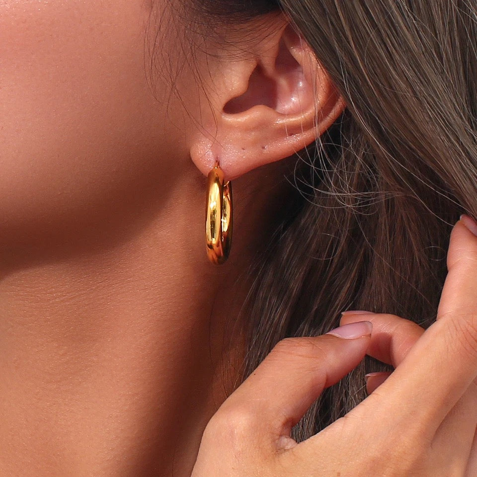 Yanet earrings