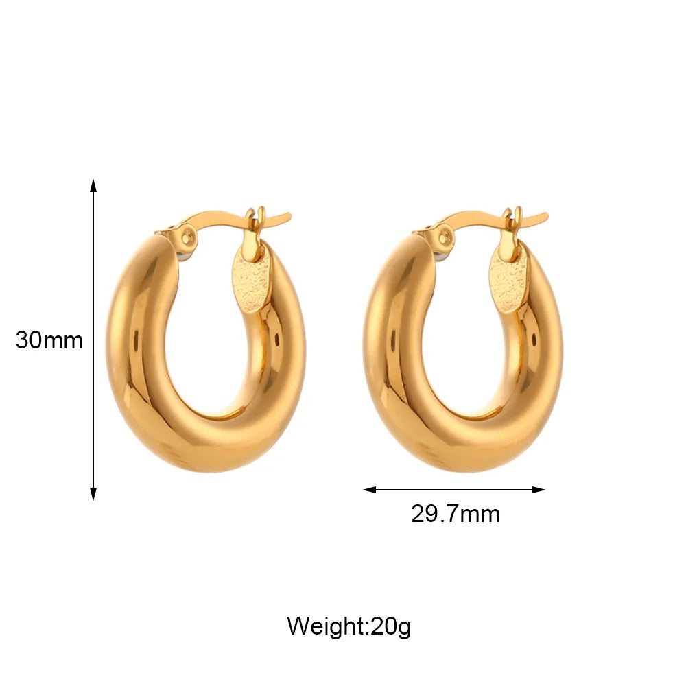 Yanet earrings